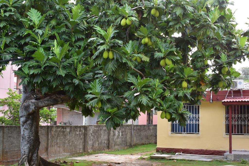 Posada James San Andrés Eksteriør billede